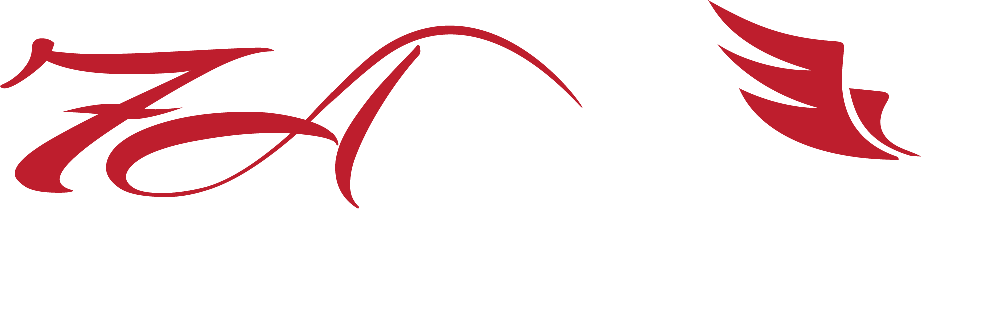 Charter Bus Company in Florida, 7nAbove